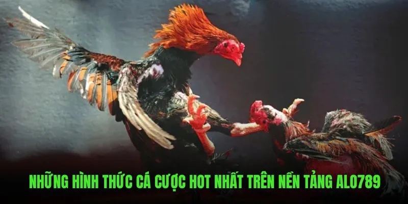 Những hình thức cá cược hot nhất trên nền tảng ALO789