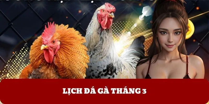 Lịch Đá Gà Tháng 3 - Bí Quyết Chọn Ngày Đẹp Thi Đấu