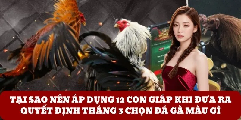 Tại sao nên áp dụng 12 con giáp khi đưa ra quyết định tháng 3 chọn đá gà màu gì