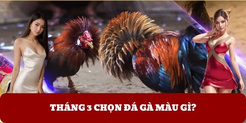 Tháng 3 Chọn Đá Gà Màu Gì Gặt Hái Thành Công Cùng ALO789