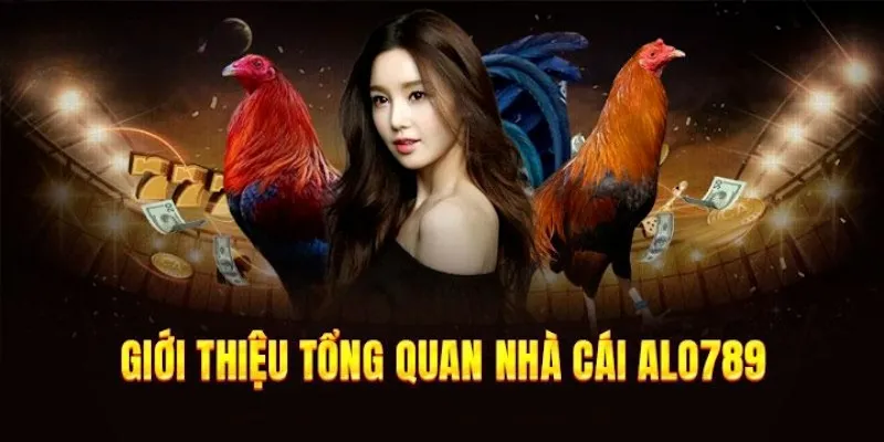 Tin tức ALO789 và những thông tin tổng quan